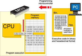 programming