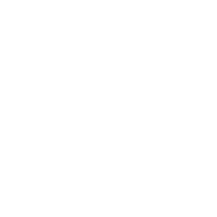 mikrobus-logo